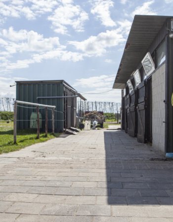 Horse stables at Schouten