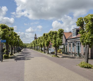 Bescherm dorpsgezicht Dorpsstraat in Wemeldinge met Lindenbomen