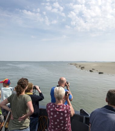 Mensen op rondvaartboot bekijken zeehonden op een zandbank in de Oosterschelde