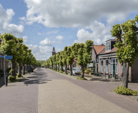 Bescherm dorpsgezicht Dorpsstraat in Wemeldinge met Lindenbomen