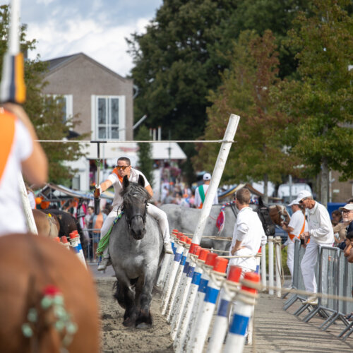 Ringrijders die een wedstrijd rijden met publiek