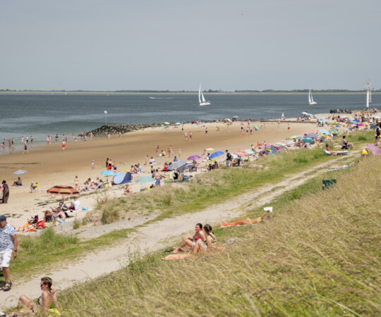 Mensen zeilen op het water en liggen op het strand van Wemeldinge