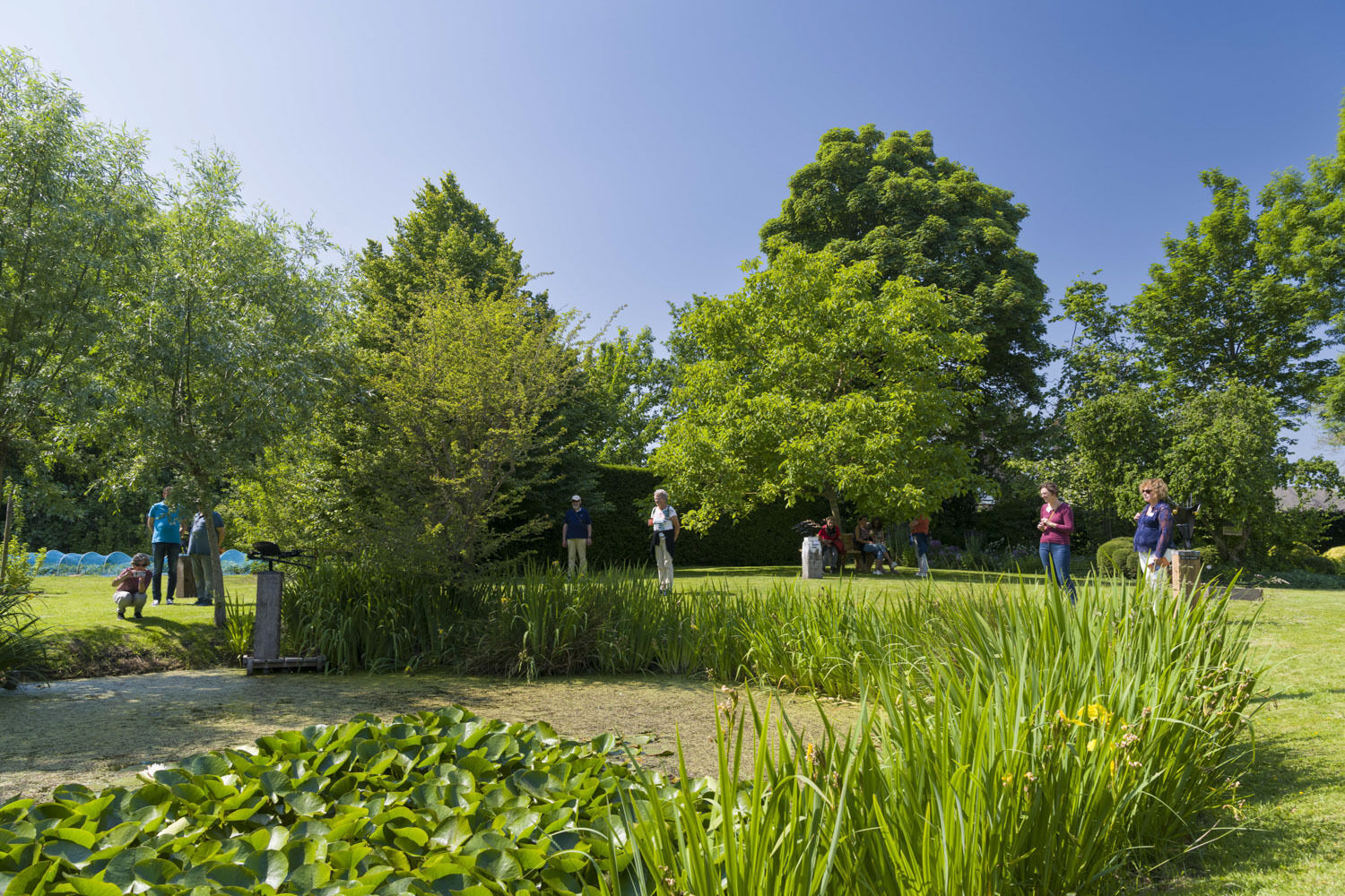 Mensen bekijken beelden in een tuin in Wemeldinge tijdens de Kunst- en Natuurroute